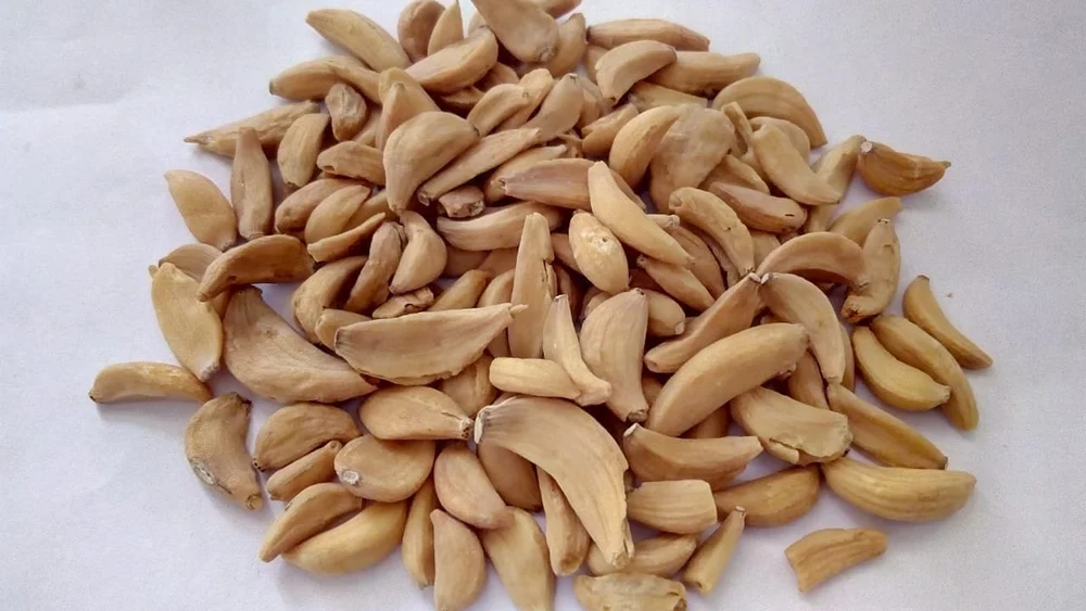 Dried Garlic Flakes